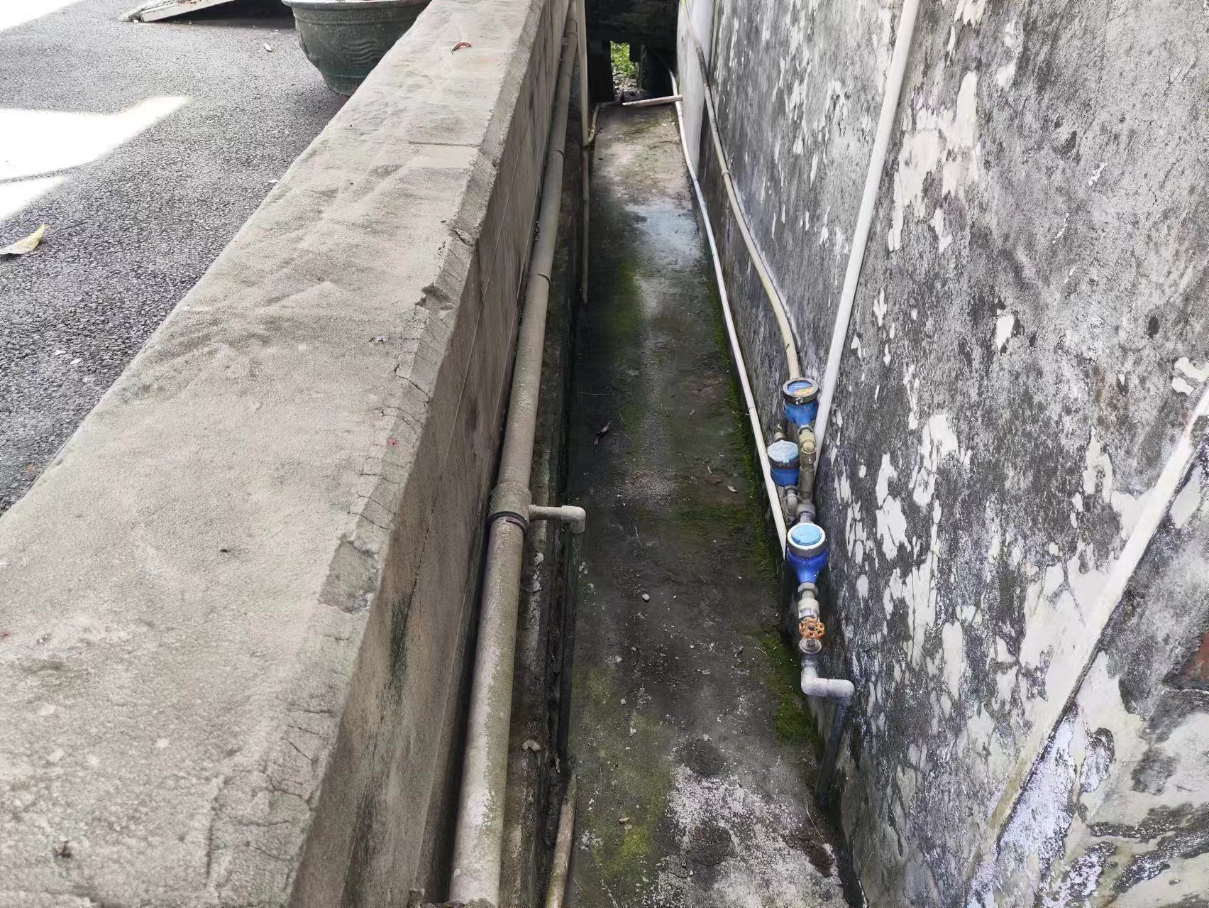 1 (2).jpg